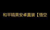和平精英安卓直装【悟空直装】辅助